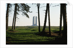 Grove of Trees at Vimy Memorial by Anonymous