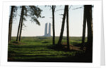 Grove of Trees at Vimy Memorial by Anonymous