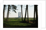 Grove of Trees at Vimy Memorial by Anonymous