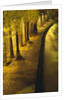 Trees Along the Seine River at Night by Anonymous