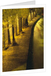 Trees Along the Seine River at Night by Anonymous