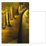 Trees Along the Seine River at Night by Anonymous