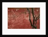 Flowering Pear Tree by Anonymous