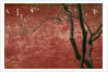 Flowering Pear Tree by Anonymous