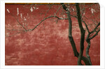 Flowering Pear Tree by Anonymous