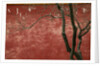 Flowering Pear Tree by Anonymous