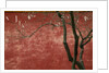 Flowering Pear Tree by Anonymous