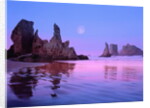 Sea Stacks and Beach by Anonymous