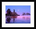 Sea Stacks and Beach by Anonymous