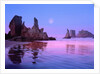 Sea Stacks and Beach by Anonymous