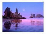 Sea Stacks and Beach by Anonymous