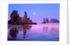Sea Stacks and Beach by Anonymous