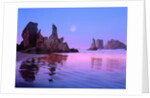 Sea Stacks and Beach by Anonymous