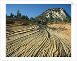 Layers of Navajo Sandstone in Zion National Park by Anonymous