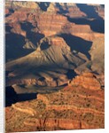 O'Neil Butte in the Grand Canyon by Anonymous