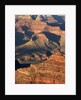 O'Neil Butte in the Grand Canyon by Anonymous