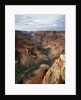 Colorado River Flowing Through Marble Canyon by Anonymous