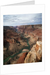 Colorado River Flowing Through Marble Canyon by Anonymous