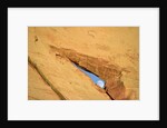 Moon and Peek-a-Boo Arch by Anonymous