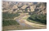 Badlands and Little Missouri River by Anonymous
