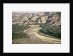 Badlands and Little Missouri River by Anonymous