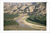 Badlands and Little Missouri River by Anonymous