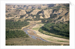 Badlands and Little Missouri River by Anonymous