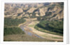 Badlands and Little Missouri River by Anonymous