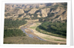 Badlands and Little Missouri River by Anonymous