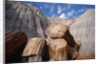 Petrified Logs by Anonymous