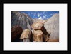 Petrified Logs by Anonymous