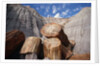 Petrified Logs by Anonymous