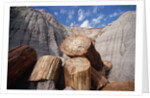 Petrified Logs by Anonymous