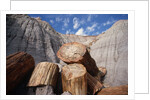 Petrified Logs by Anonymous