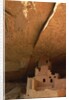 Cliff and Cliff Palace by Anonymous
