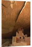 Cliff and Cliff Palace by Anonymous