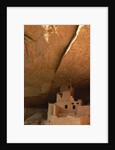 Cliff and Cliff Palace by Anonymous