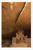 Cliff and Cliff Palace by Anonymous