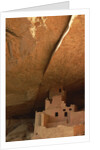 Cliff and Cliff Palace by Anonymous