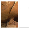 Cliff and Cliff Palace by Anonymous