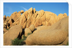 Weathered Granite Boulders by Anonymous
