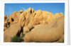 Weathered Granite Boulders by Anonymous