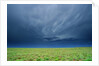 Storm Clouds Hanging over the Plains of Llano Estacado. by Anonymous