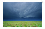 Storm Clouds Hanging over the Plains of Llano Estacado. by Anonymous