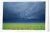 Storm Clouds Hanging over the Plains of Llano Estacado. by Anonymous
