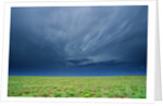 Storm Clouds Hanging over the Plains of Llano Estacado. by Anonymous