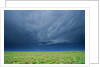 Storm Clouds Hanging over the Plains of Llano Estacado. by Anonymous