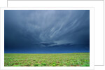 Storm Clouds Hanging over the Plains of Llano Estacado. by Anonymous