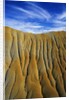 Rock Wall in Badlands by Anonymous