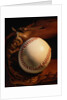 Baseball and a Pitcher's Mitt by Anonymous